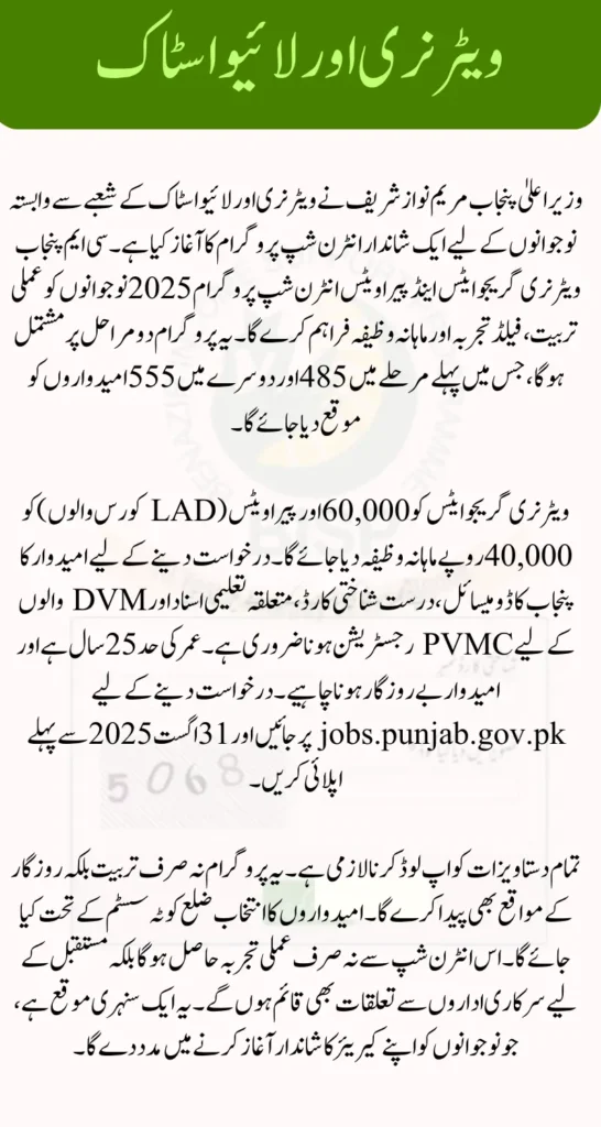CM Punjab Internship Program 2026 Check How to Apply (Step-by-Step)