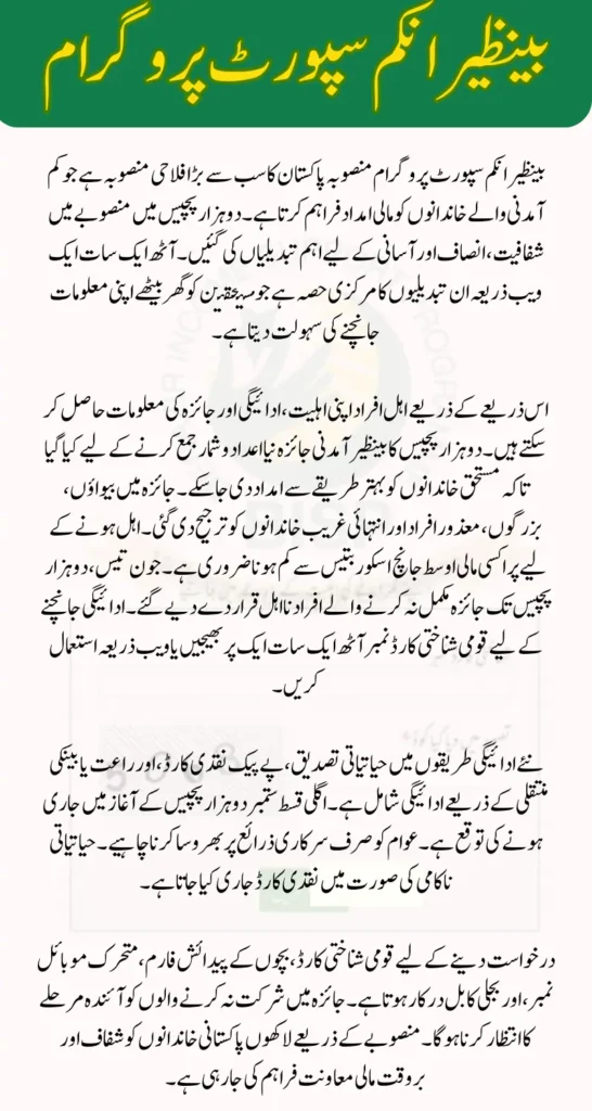 8171 Web Portal BISP Survey 2025 Beneficiary Payment: Complete Guide