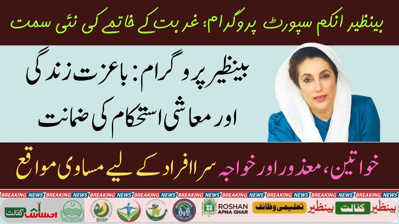 8171 BISP Apply Online 2025 Registration Check Economic and Social Impact of BISP Program