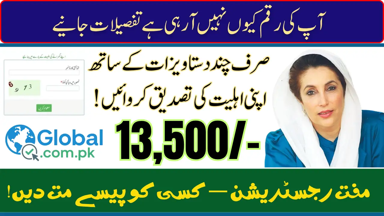 BISP Survey 2025 Payment Guide and Documents Required for BISP Survey