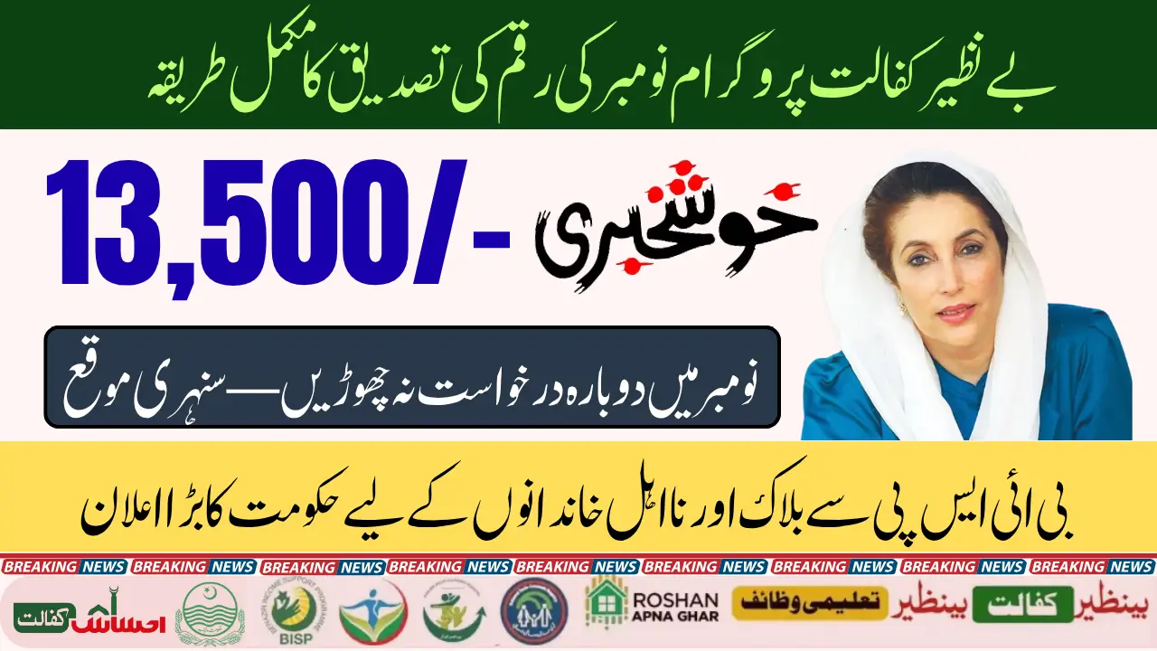 Re-Application Guide Benazir Kafalat For November Released Payment